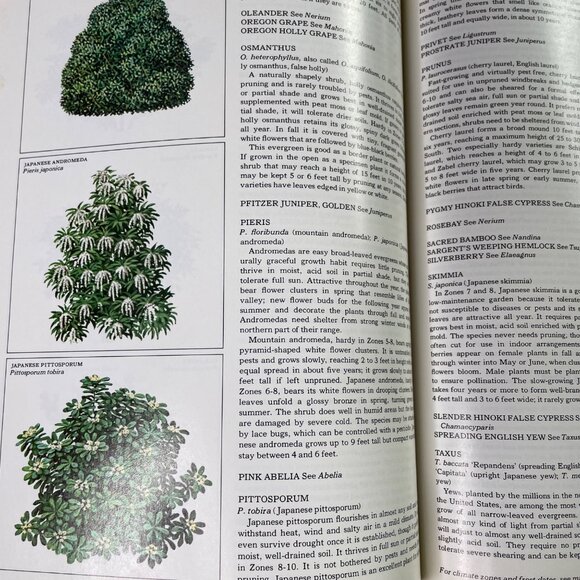 How Grow an Easy Garden Time Life Encyclopedia of Gardening 1978 u - Picture 9 of 10